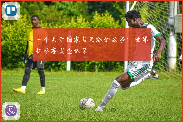 一个关于国家与足球的故事:世界杯参赛国全记录