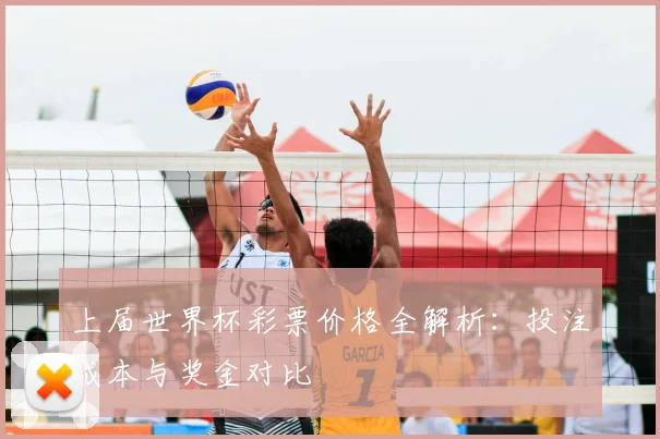 上届世界杯彩票价格全解析:投注成本与奖金对比