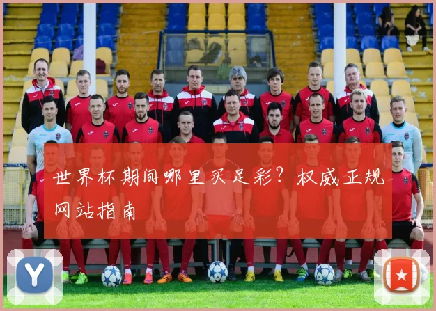 世界杯期间哪里买足彩?权威正规网站指南