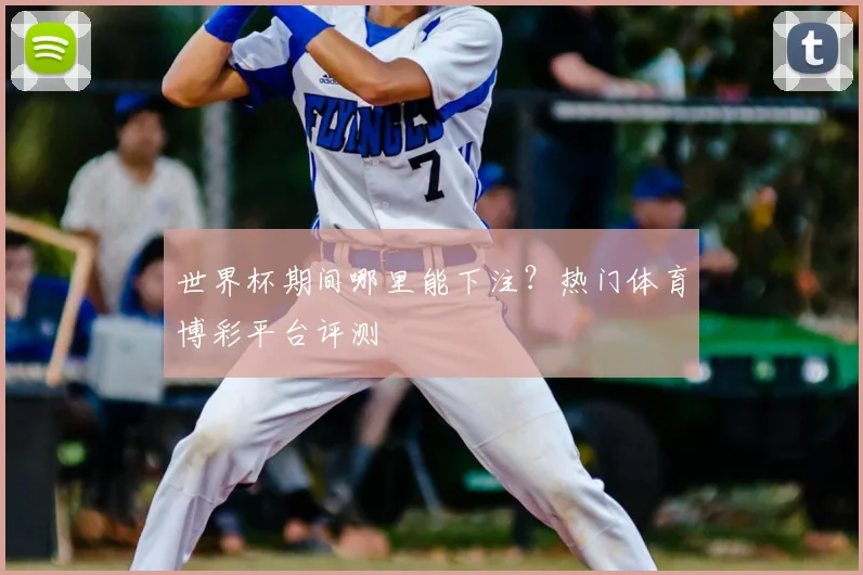 世界杯期间哪里能下注?热门体育博彩平台评测