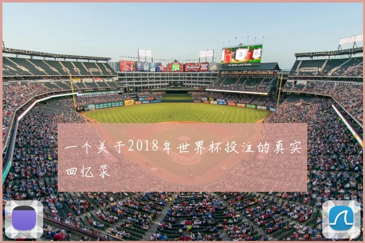 一个关于2018年世界杯投注的真实回忆录