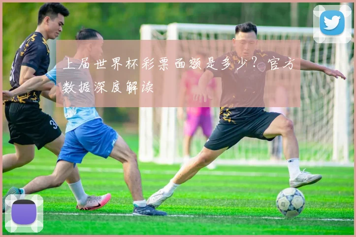 上届世界杯彩票面额是多少?官方数据深度解读