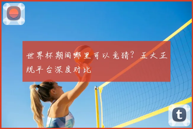 世界杯期间哪里可以竞猜?五大正规平台深度对比
