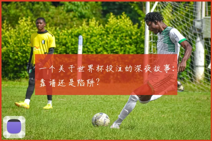 一个关于世界杯投注的深夜故事:靠谱还是陷阱?